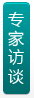 专家访谈