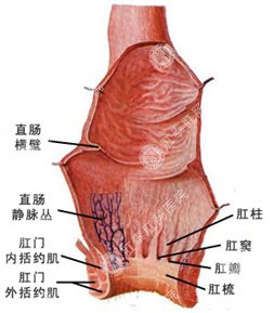 福州肛肠医院