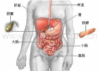 福州肛肠医院