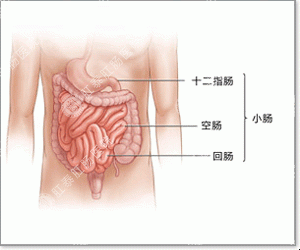 经常拉肚子怎么回事？