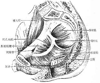 福州肛肠医院