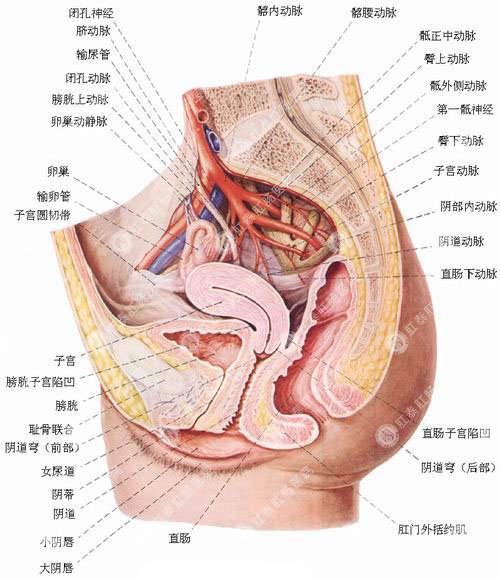 福州肛肠医院