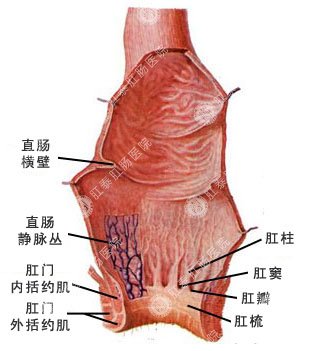 福州肛肠医院