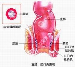 福州肛肠医院