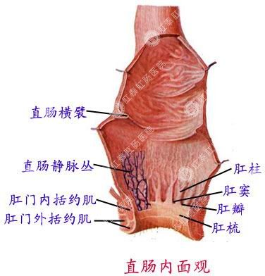 福州肛肠医院