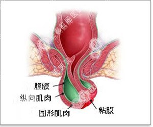 福州肛肠医院