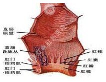 肛窦炎