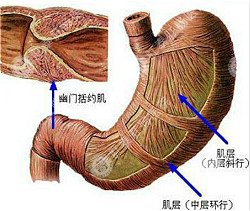 福州肛肠医院 福州医博肛肠医院 福州看痔疮的医院 福州肛瘘医院 福州肛裂医院 福州肠炎医院