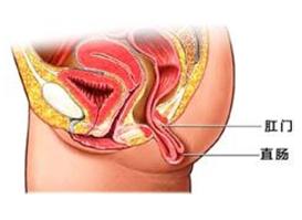 福州哪家医院看脱肛好