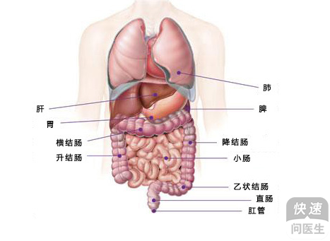 福州肛肠医院 福州医博肛肠医院 福州看痔疮的医院 福州肛瘘医院 福州肛裂医院 福州肠炎医院