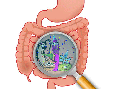 肠道疾病为什么难以杜绝？