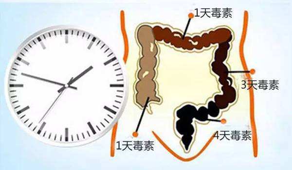 细说便秘危害——与痔疮关系密切