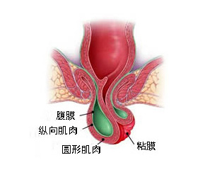 福州肛肠医院 福州医博肛肠医院 福州看痔疮的医院 福州肛瘘医院 福州肛裂医院 福州肠炎医院