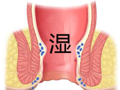 福州肛肠医院 福州医博肛肠医院 福州看痔疮的医院 福州肛瘘医院 福州肛裂医院 福州肠炎医院